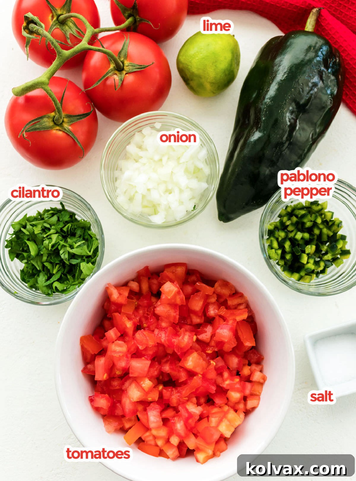 All the ingredients you will need to make Pico de Gallo including tomatoes, cilantro, onion, pablono pepper, lime and tomatoes on the vine.