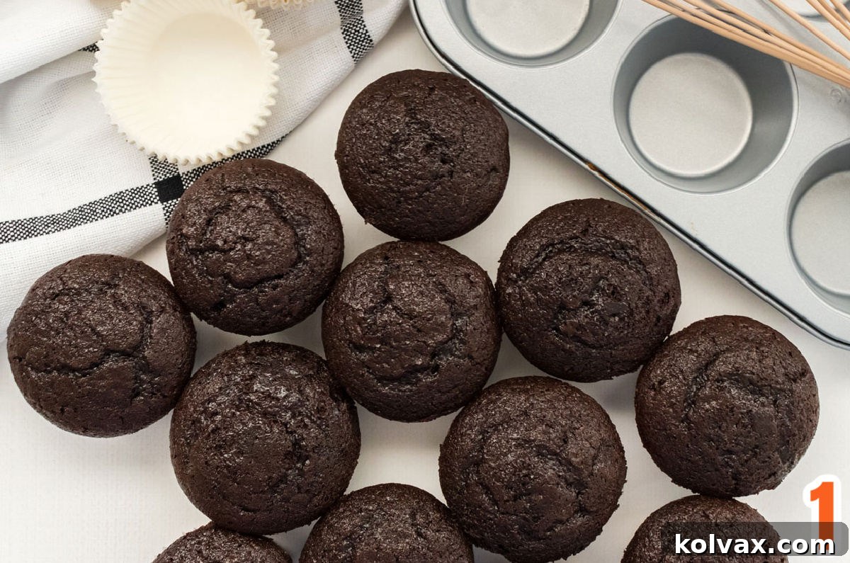 Closeup on a dozen freshly baked chocolate cupcakes sitting on a white table next to a cupcake pan and extra cupcake liners.