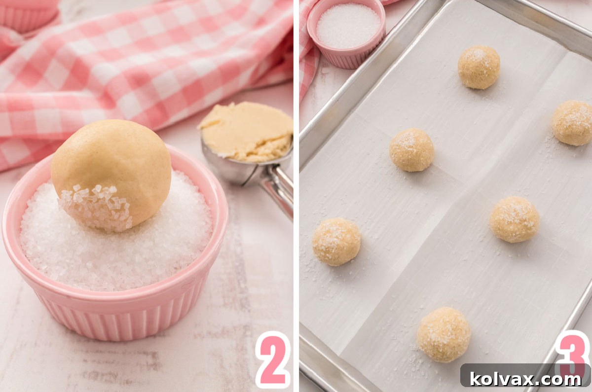Collage image showing how to roll the sugar cookie dough ball in sparkling sugar and place it on a cookie sheet to be baked.