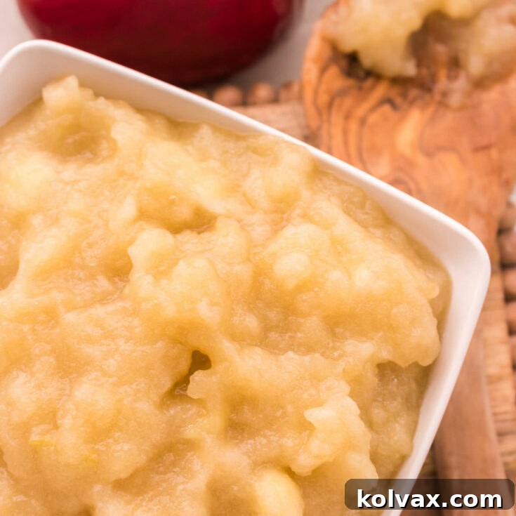 The Best Homemade Applesauce