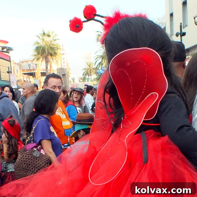 Red Butterfly Wings for the Ladybug Costume