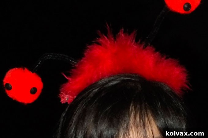 Creating the Adorable Ladybug Costume Headpiece