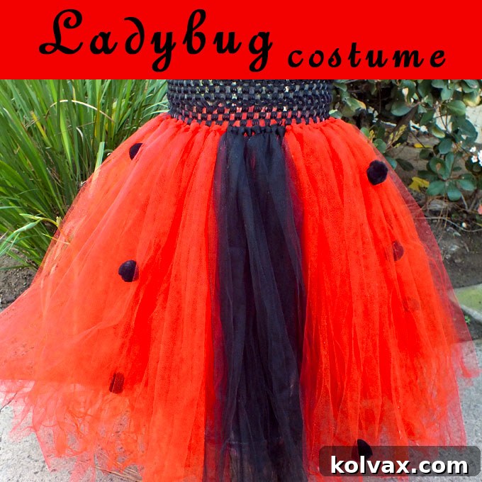 Finished Adorable DIY Ladybug Costume for a Toddler