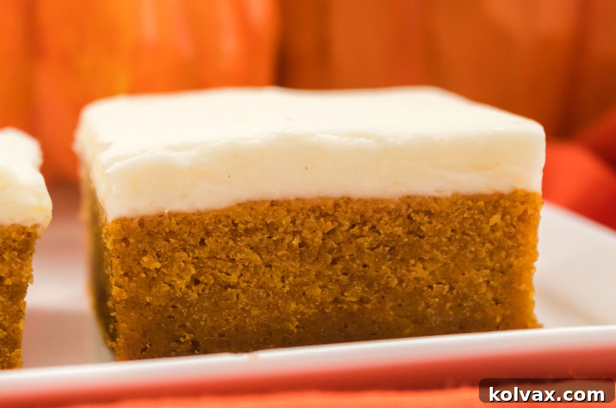 Closeup of a Pumpkin Bar with Cream Cheese Frosting sitting on a white serving platter in front of decorative pumpkins.