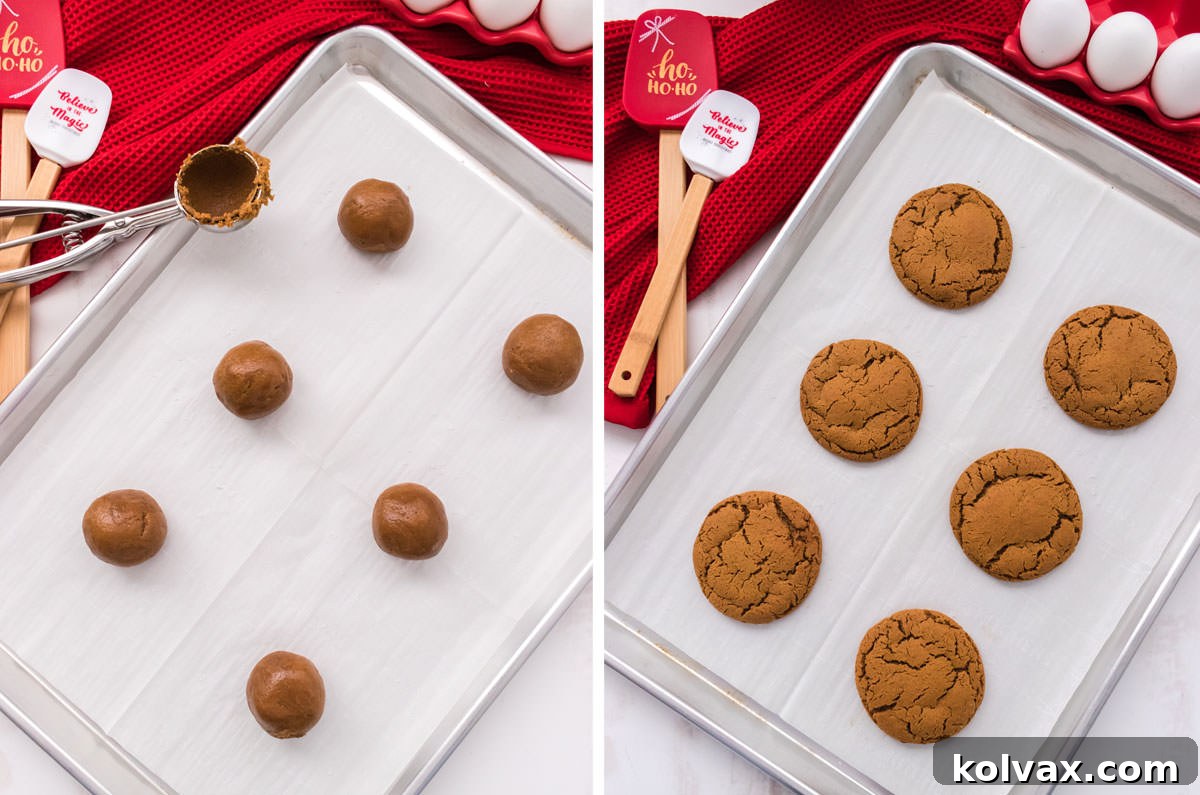 A two-panel collage showing the transformation of molasses cookies: one side features unbaked cookie dough balls on a baking sheet, and the other side displays beautifully cracked, golden-brown baked cookies fresh out of the oven.