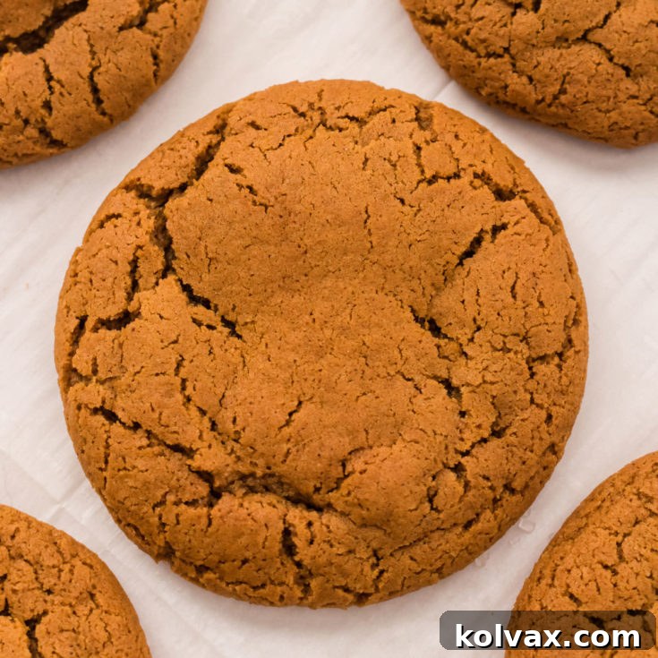 Soft Molasses Cookies