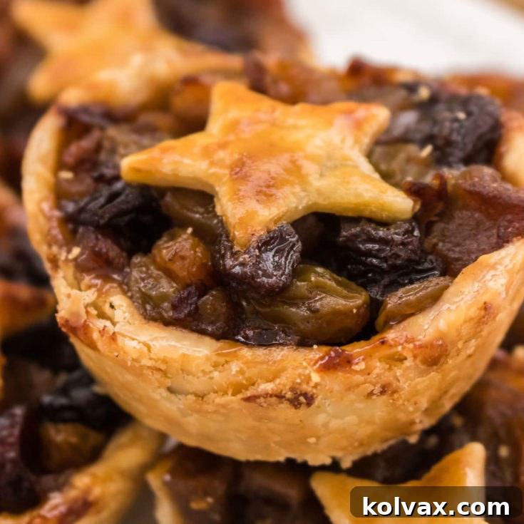 Bite-sized Festive Mince Pies 10 Mini Mince Pies