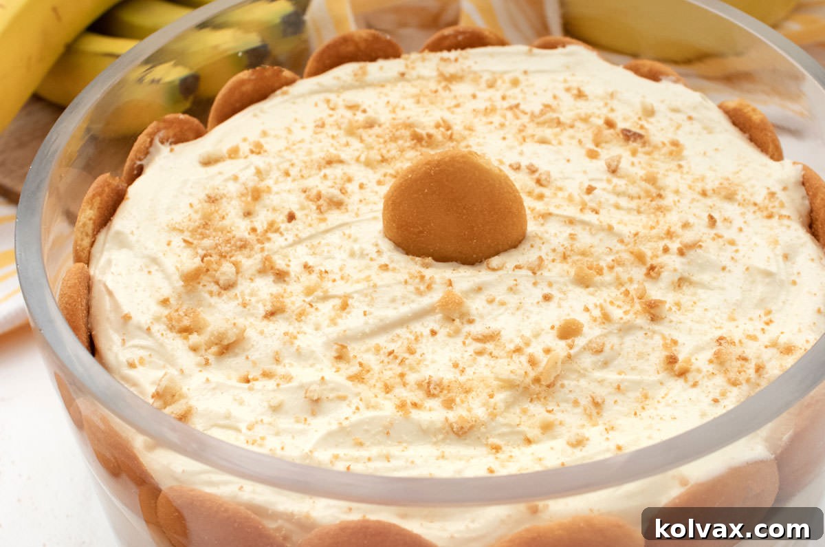 An overhead shot of a generous bowl of classic Banana Pudding, showcasing its layered creamy texture and scattered Nilla Wafers.