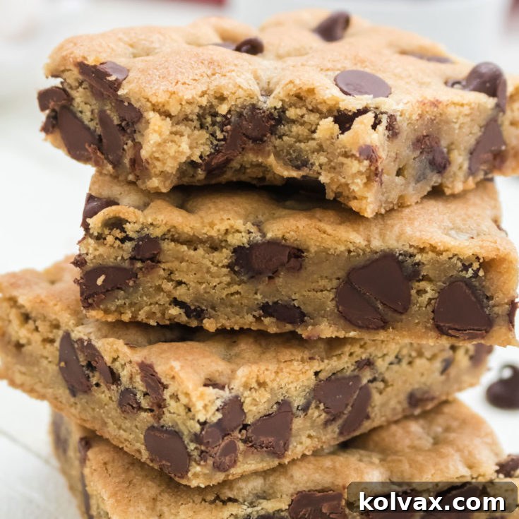 Delicious Chocolate Chip Cookie Bars