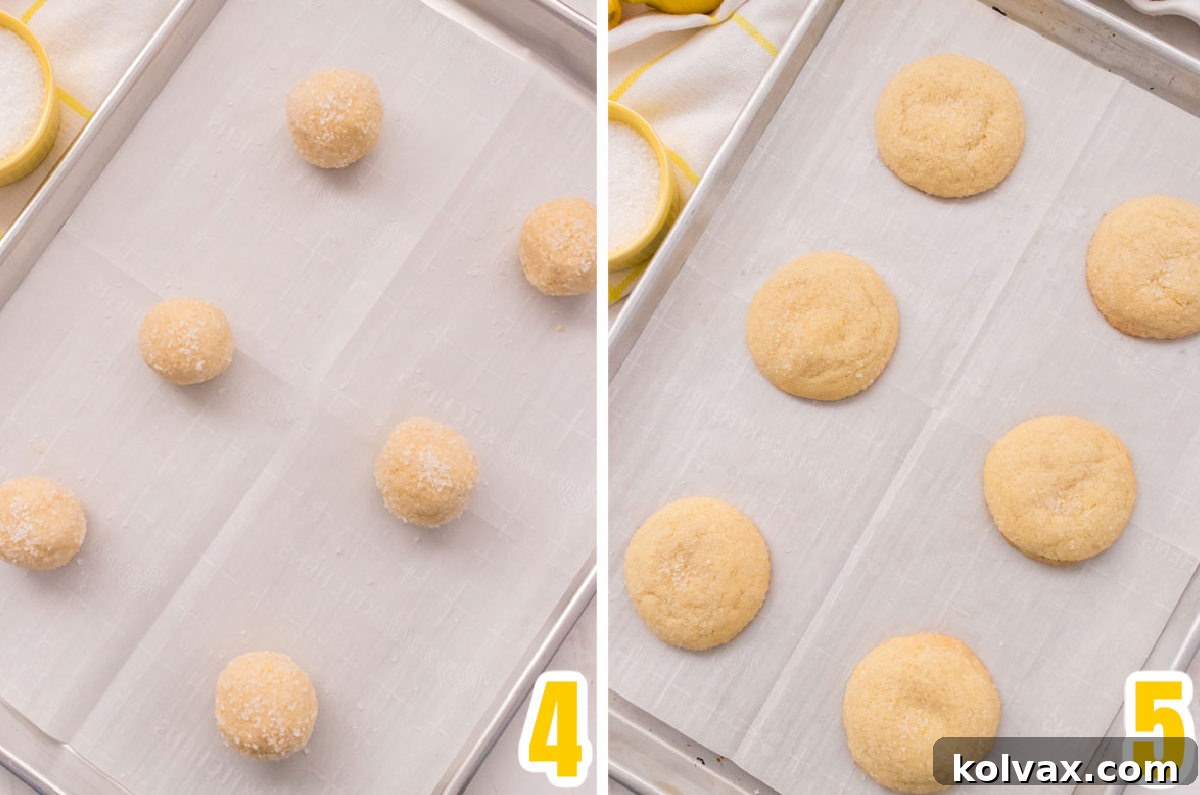 A dynamic collage illustrating the simple yet crucial steps for baking irresistible Lemon Sugar Cookies: from rolling dough in sparkling sugar to perfectly baked cookies on a parchment-lined sheet. Each image guides the baker through the process, promising a delicious outcome.