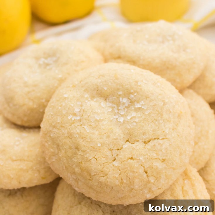 A vibrant close-up of a fresh batch of Lemon Sugar Cookies, featuring their golden-brown edges and sparkling sugar coating. These cookies promise a burst of zesty lemon flavor and a delightful texture, perfect for any occasion.