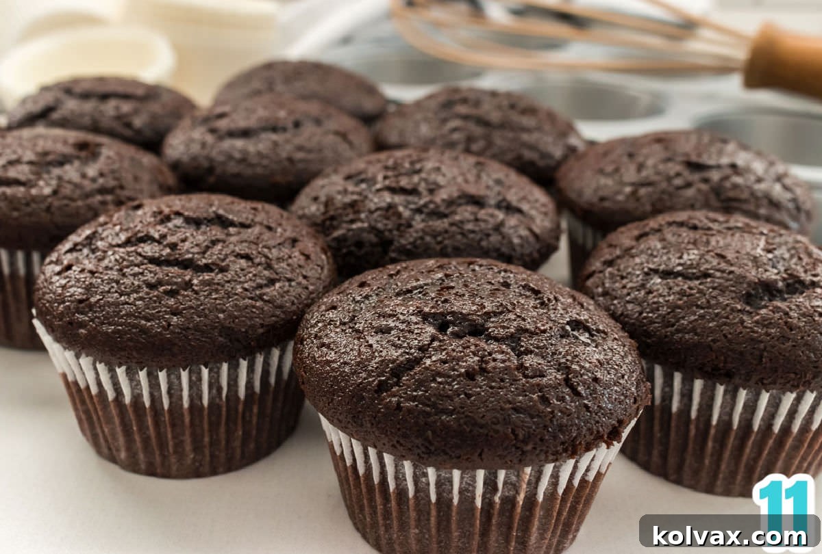 Closeup on a batch of chocolate cupcakes sitting on a white table in front of a cupcake tin and a whisk.