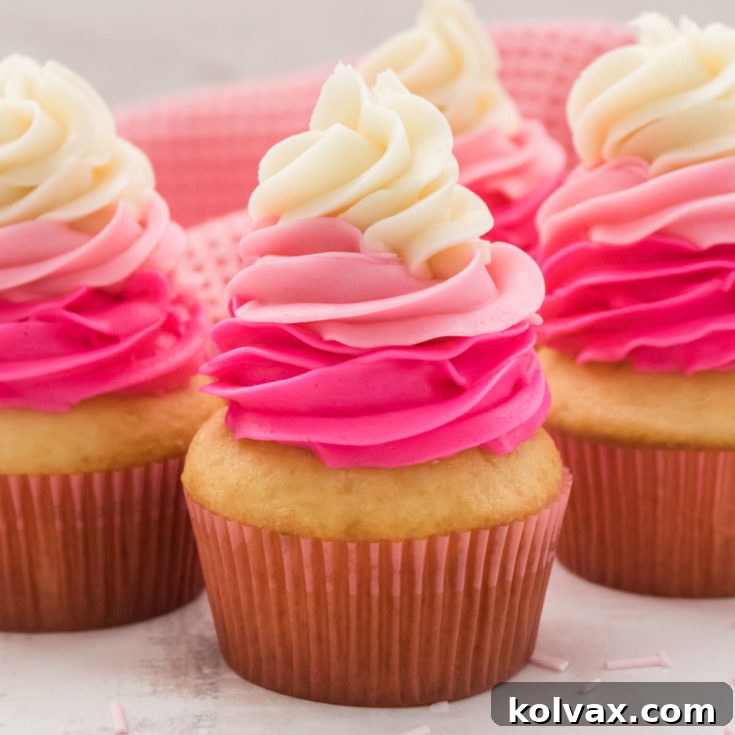 Princess Cupcakes featuring beautiful pink ombre frosting swirls.