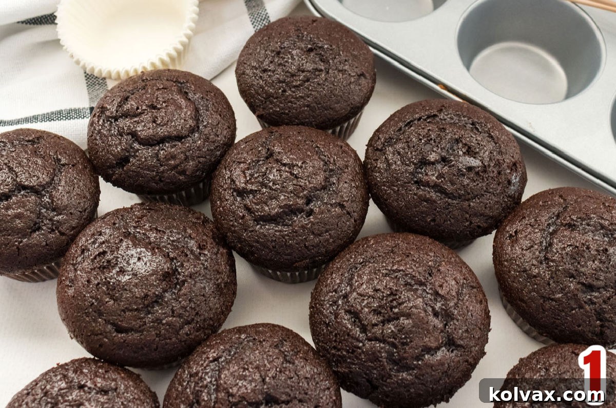 A neat row of a dozen freshly baked chocolate cupcakes, in their paper liners, cooling on a white table next to a metal cupcake pan, ready for frosting.