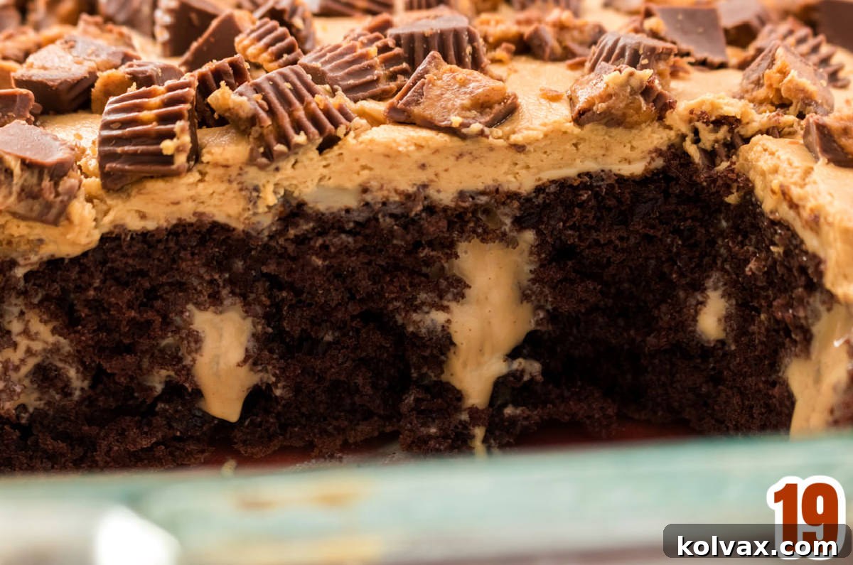 A close-up cross-section view of the Chocolate Peanut Butter Poke Cake, clearly showing the luscious layers of moist chocolate cake, rich peanut butter filling seeped into the holes, and the light whipped peanut butter topping, all beautifully crowned with chopped Reese's Peanut Butter Cups.