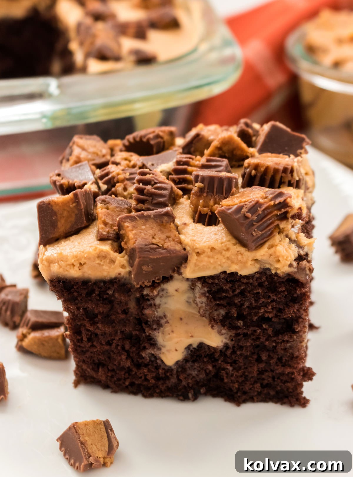 A single, perfectly cut slice of Chocolate Peanut Butter Poke Cake served on a pristine white plate, surrounded by scattered mini Reese's Peanut Butter Cup pieces, beautifully highlighting the cake's appealing layers and delicious, generous topping.