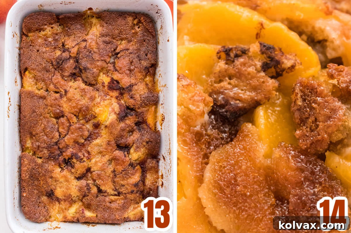 Heirloom Peach Cobbler 8 A two-panel collage showcasing the peach cobbler freshly baked: one image captures its golden-brown, bubbly top straight from the oven, and the other shows it cooling slightly, ready to be served.