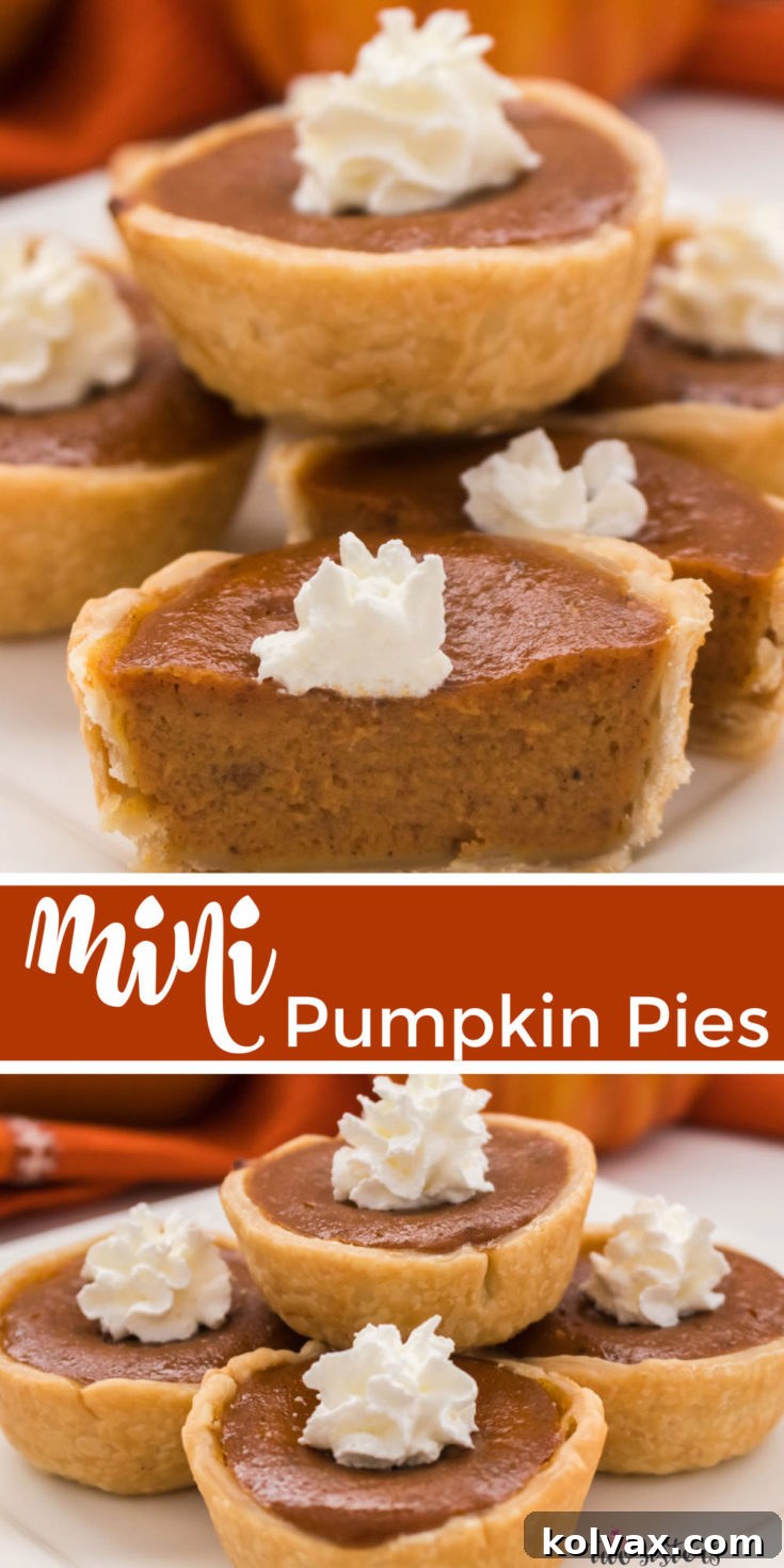 Delicious Mini Pumpkin Pies, a perfect autumn dessert.