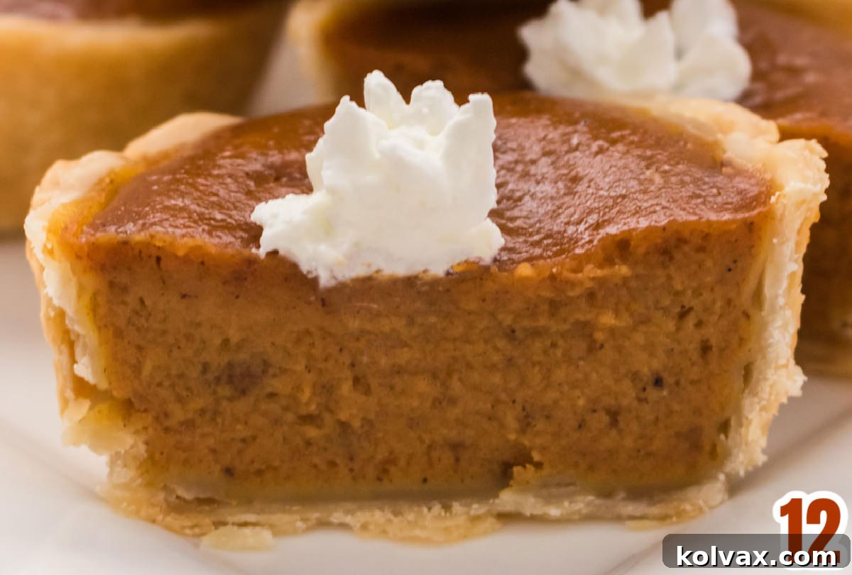 Closeup on a Mini Pumpkin Pie topped with a small dollop of Whipped Cream, cut in half to show the creamy pumpkin filling and flaky crust.