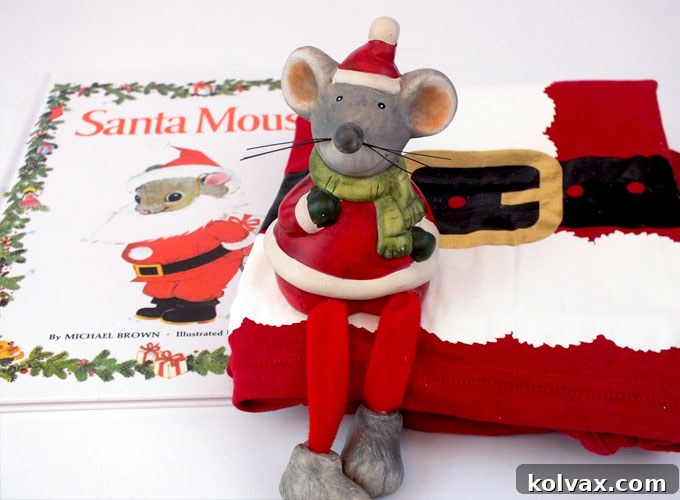 New Christmas pajamas brought by Santa Mouse