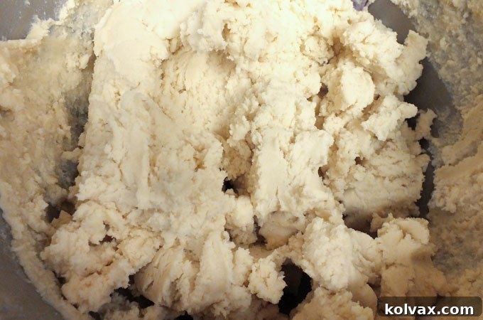Best Sugar Cookie Recipe dough