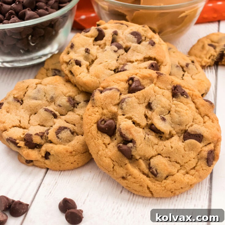 Peanut Butter Chocolate Chip Cookies