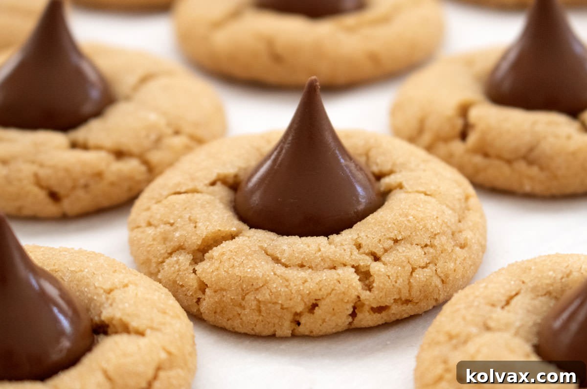 Peanut Butter Blossoms 2 A close-up shot of a freshly baked batch of Peanut Butter Blossoms on a silver cookie sheet, their iconic chocolate kisses slightly melted into the warm, sugar-coated peanut butter cookies, emanating a comforting glow just out of the oven.