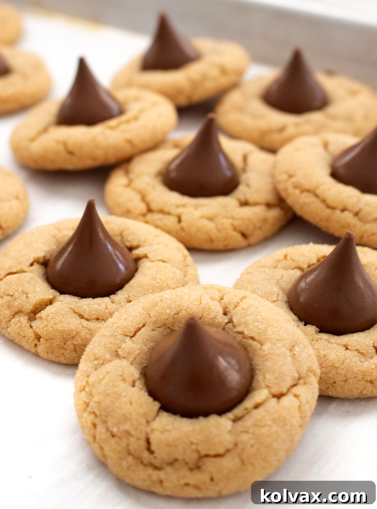 Peanut Butter Blossoms 7 A batch of perfectly baked Peanut Butter Blossoms, each topped with a rich Hershey's Kiss, cooling on a cookie sheet, ready to be enjoyed.