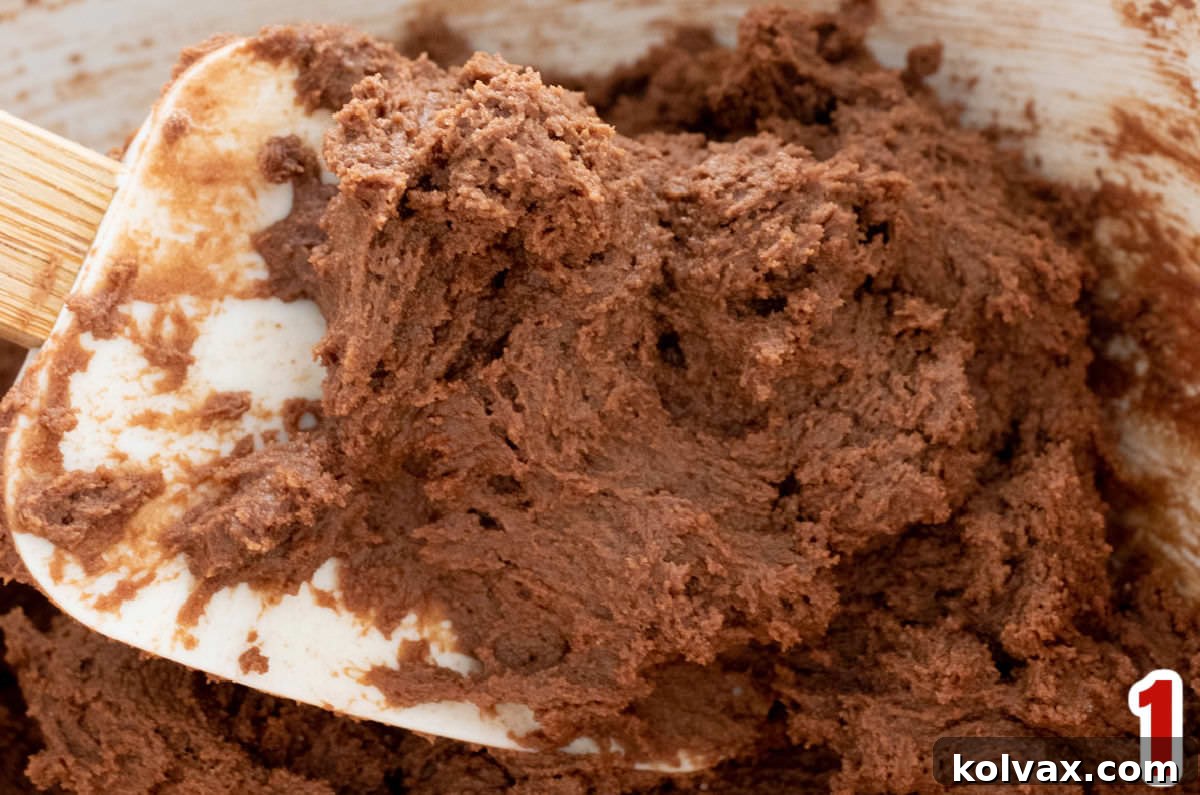 Close-up of a white bowl filled with glossy, dark chocolate cookie dough, with a white wooden spatula resting inside.