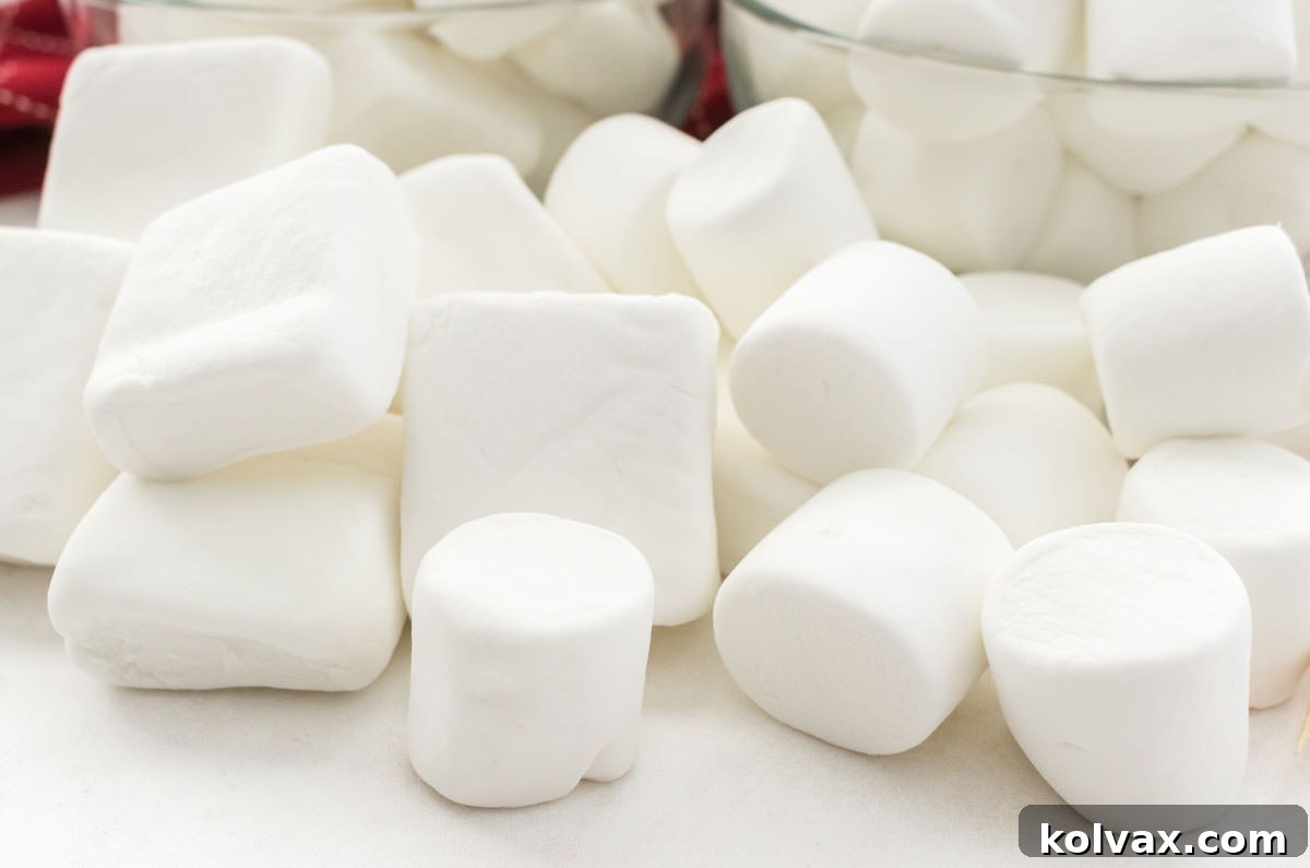 A selection of two types of marshmallows, regular and specialty s'mores marshmallows, arranged on a white surface, ready for roasting.