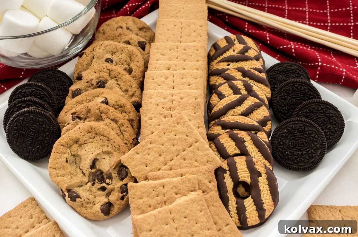 A white serving platter showcasing a diverse range of cookies including traditional graham crackers, chocolate chip cookies, Oreo cookies, and Fudge Stripes Cookies, perfect for a S'mores board.