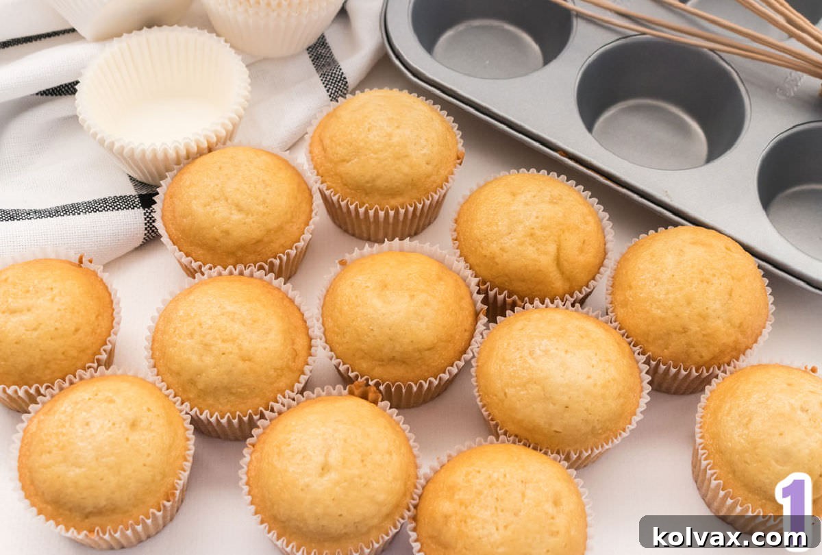 An overhead view of twelve freshly baked vanilla cupcakes, perfectly cooled in their liners, arranged neatly on a pristine white surface. In the background, a metal cupcake tin and a stylish white and black table linen suggest the completed baking process.