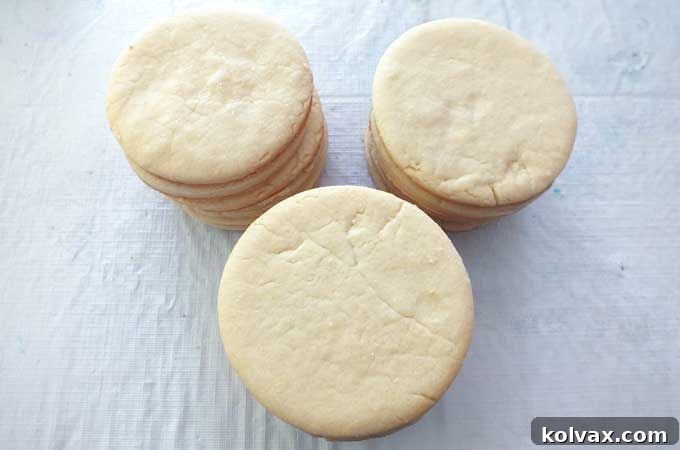 Whimsical Hydrangea Sugar Cookies 4 Perfectly baked circular sugar cookies, ready for frosting