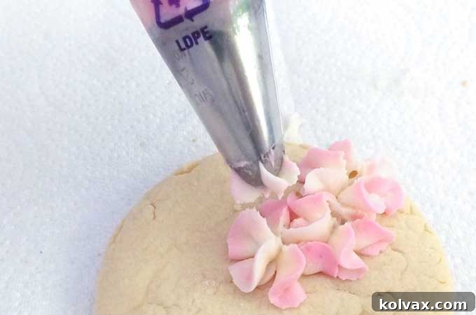 Whimsical Hydrangea Sugar Cookies 9 Demonstration of piping beautiful two-tone pink and ivory hydrangea petals onto a sugar cookie
