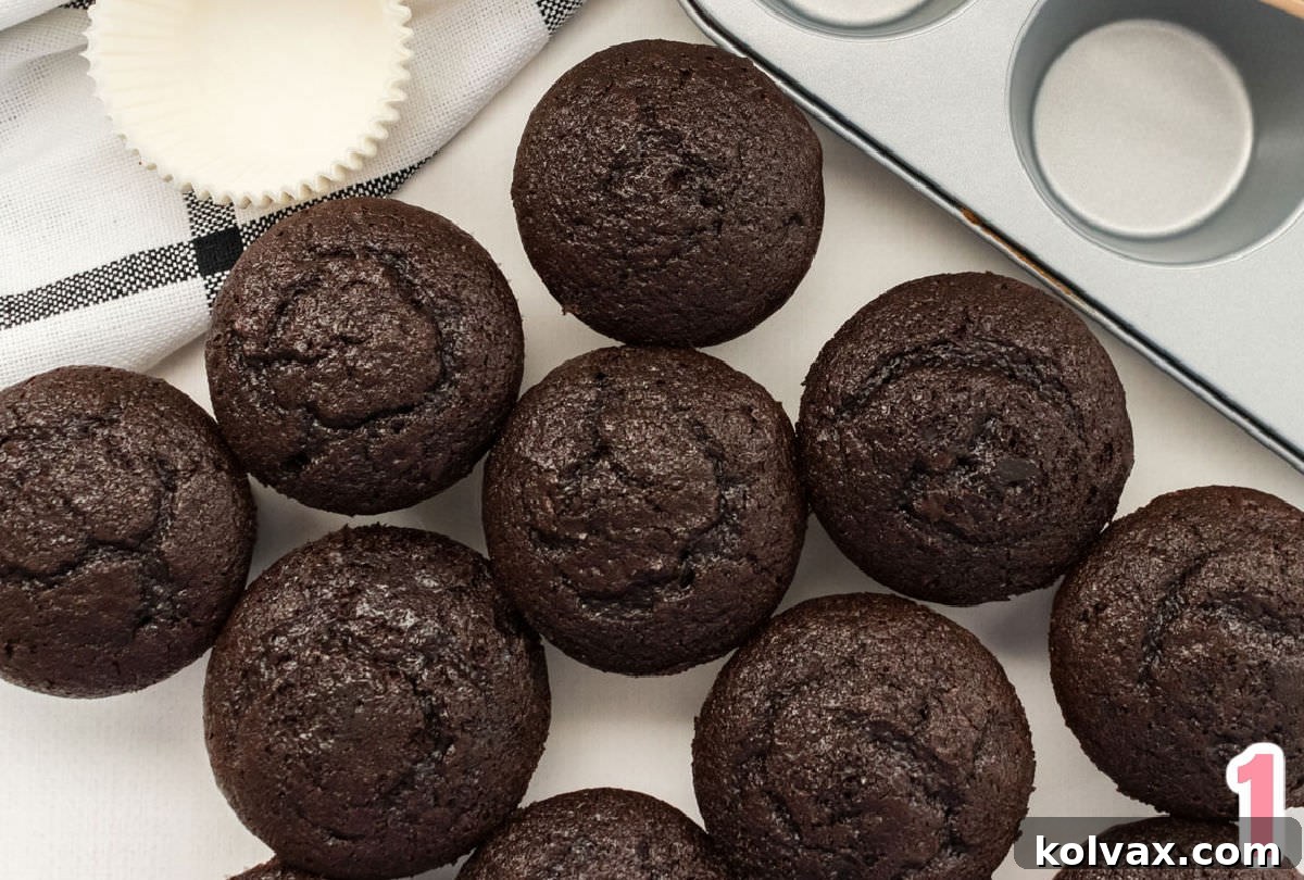 A dozen freshly baked chocolate cupcakes, neatly nestled in dark pink liners, arranged on a white table in front of a metal cupcake tin, ready for the next stage of decoration.