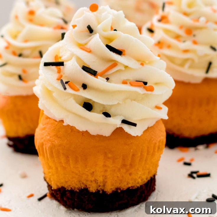 Brownie Cupcakes with Halloween sprinkles and frosting.