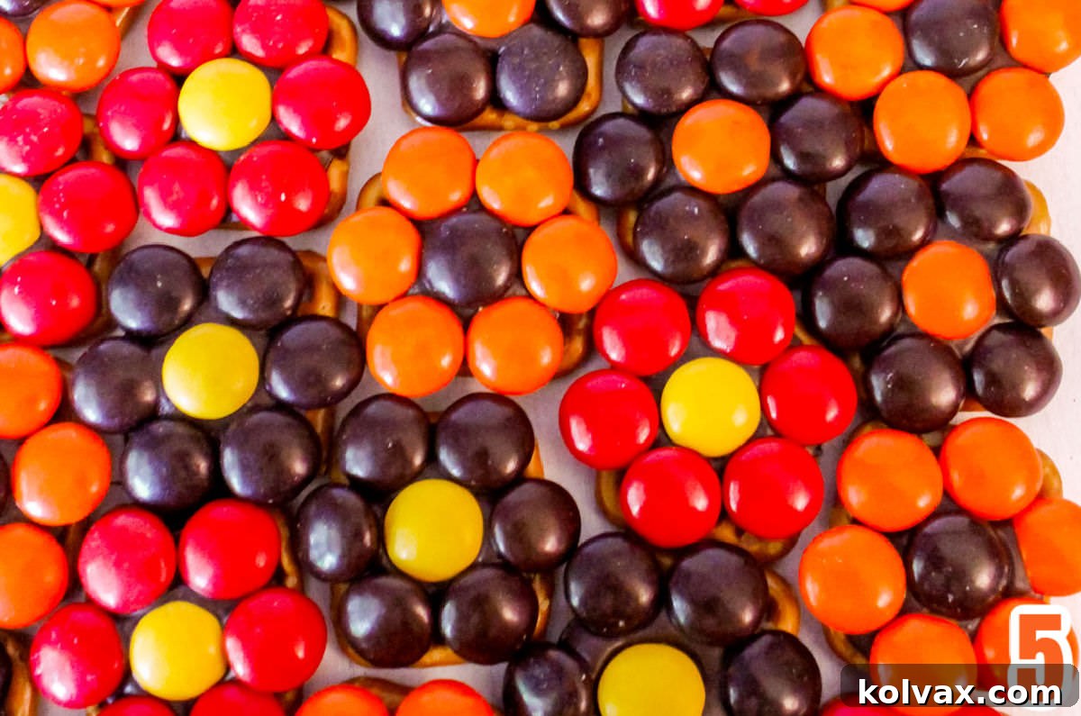 A close-up view of perfectly arranged rows of colorful Harvest Flower Pretzel Bites, ready for serving or gifting, highlighting their uniform design.
