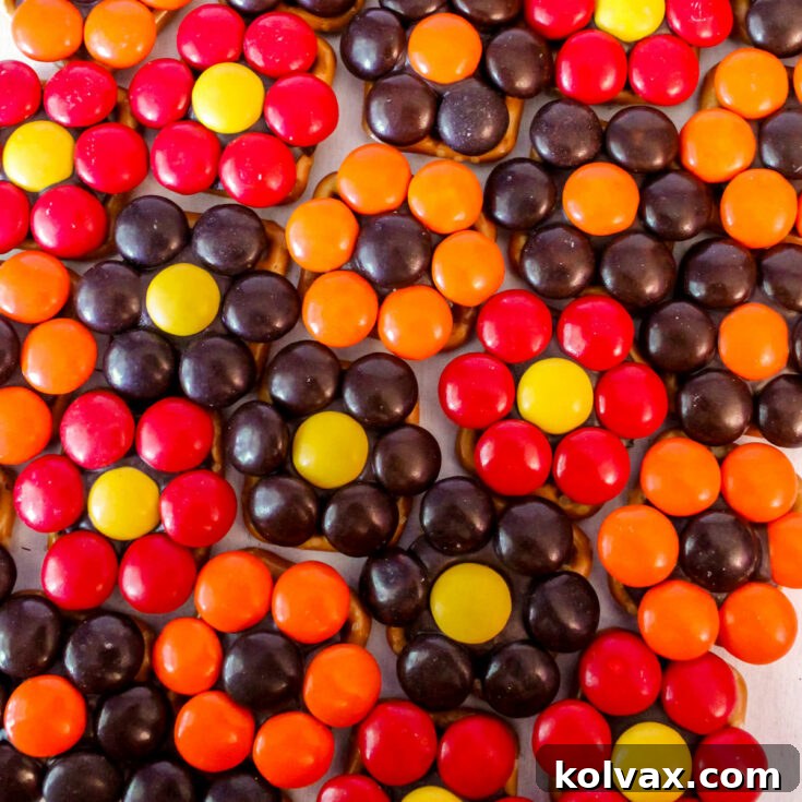 Harvest Flower Pretzel Bites