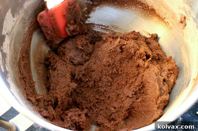 Rich, velvety chocolate cookie dough, the perfect base for festive Christmas cookies.