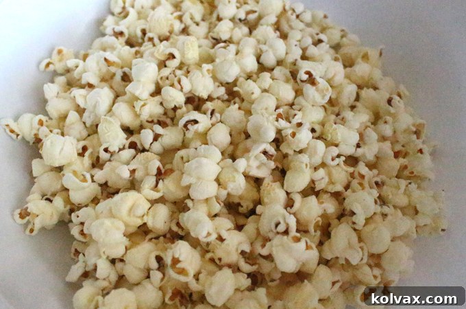 Stove-popped popcorn kernels ready for marshmallow coating