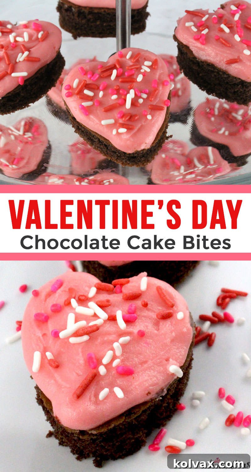 A collection of adorable Valentine's Cake Bites, perfect for sharing.