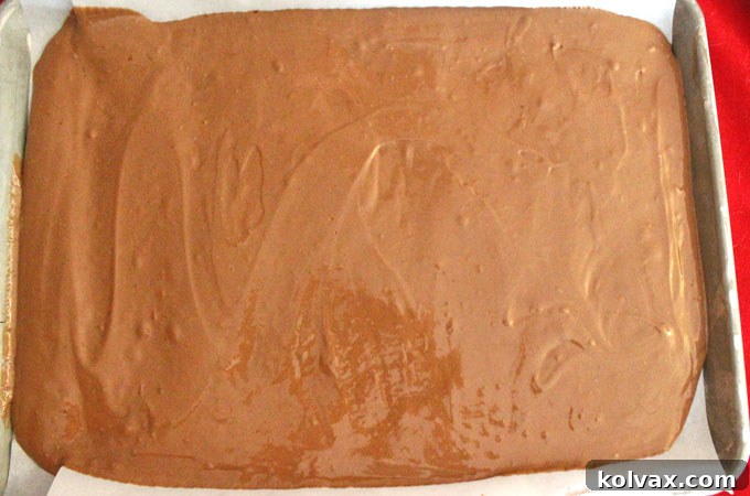 Chocolate cake batter baked in a cookie sheet, ready for cutting heart shapes.